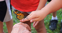 Students holding butterflies on their hands.