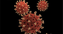 virus