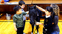 Students petting a pony.