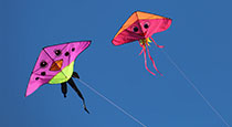 A kite flying in the air.