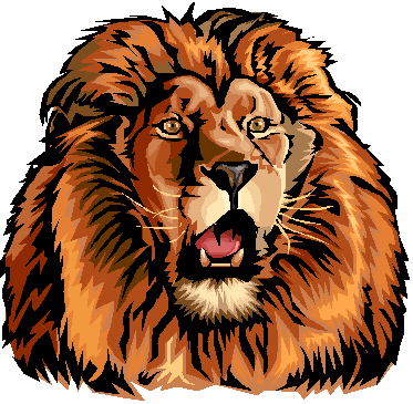 A lion