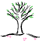 A tree in the spring