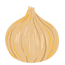 An onion